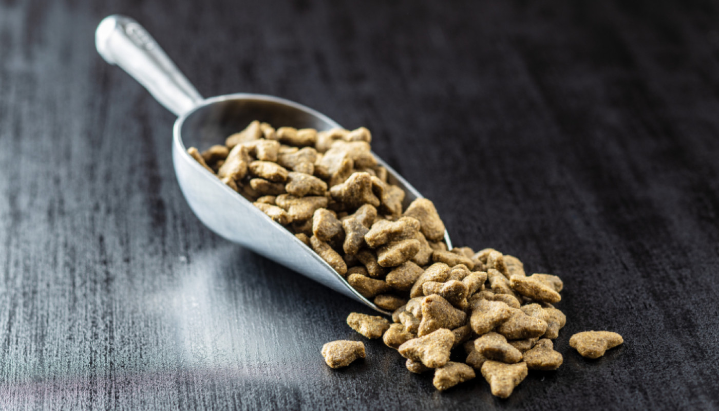 Faîtes confiance à Croquettes de France pour l'achat de croquettes pour chien en gros !